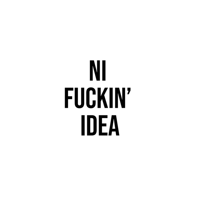Ni Fuckin´ Idea